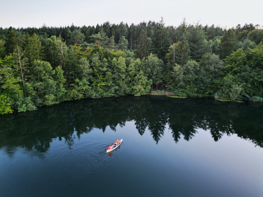 a boat floating on top of a lake surrounded by forest