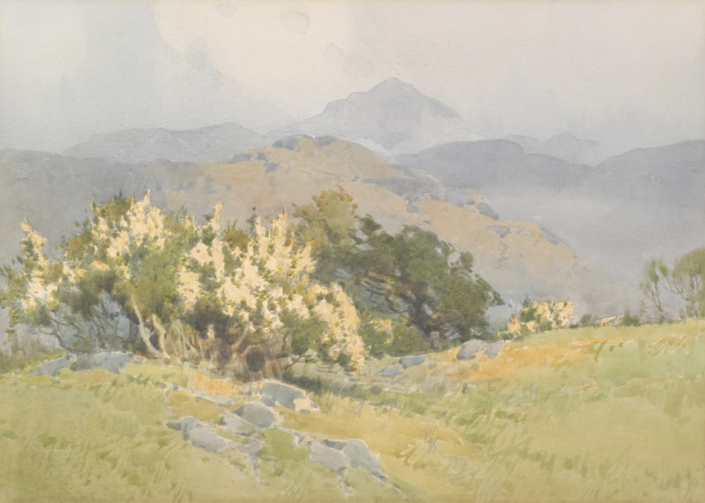a painting of a mountain scene with trees and rocks