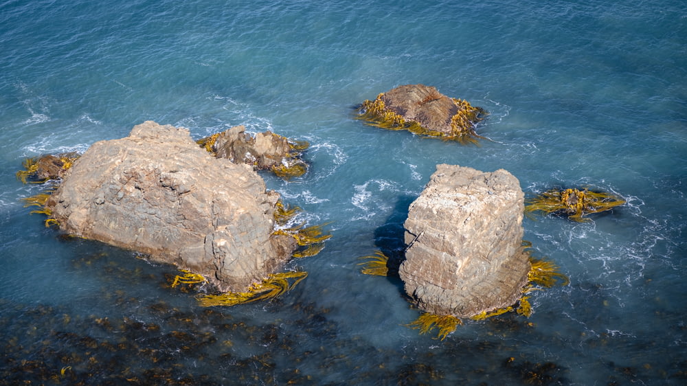 a group of rocks sitting on top of a body of water