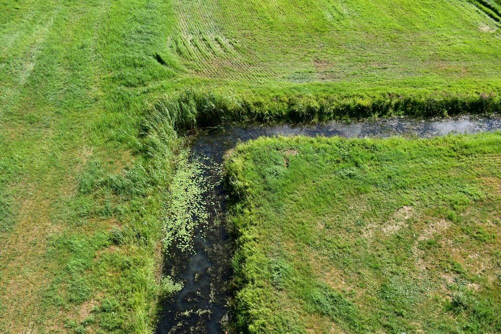 an aerial view of a grassy field with a stream running through it