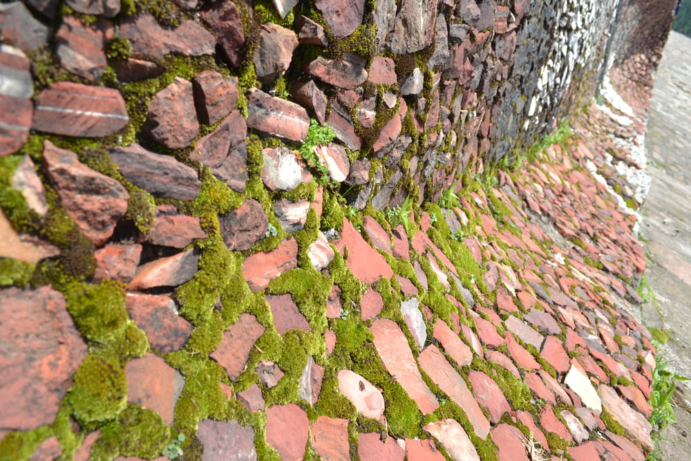 a brick wall with moss growing on it