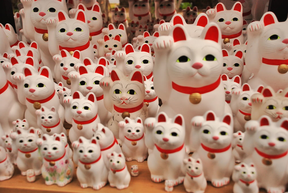 a large group of white cats with red collars