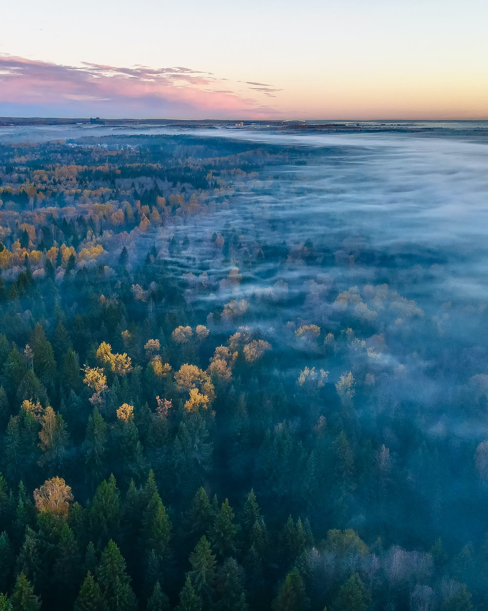 an aerial view of a foggy forest at sunset