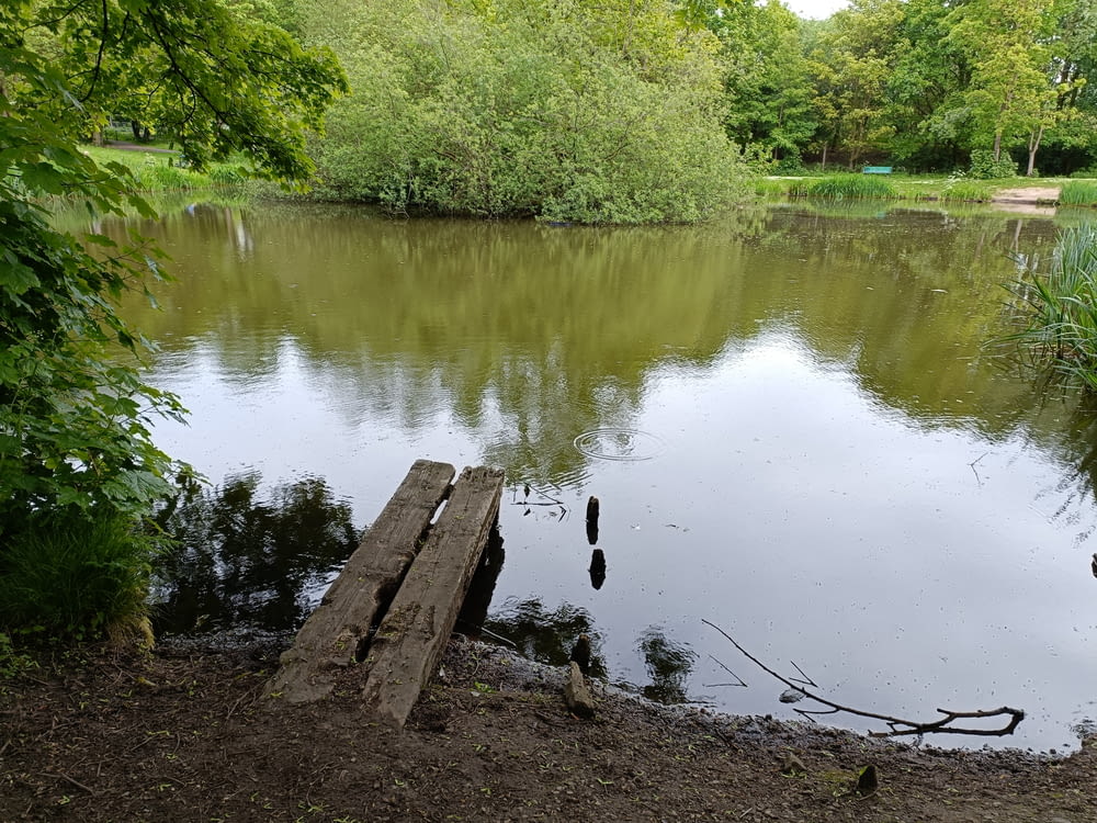 a wooden bench sitting in the middle of a lake