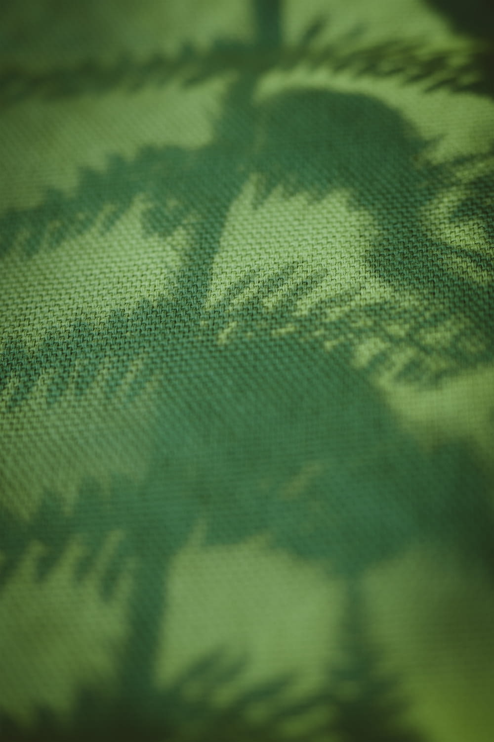 a shadow of a palm tree on a green background