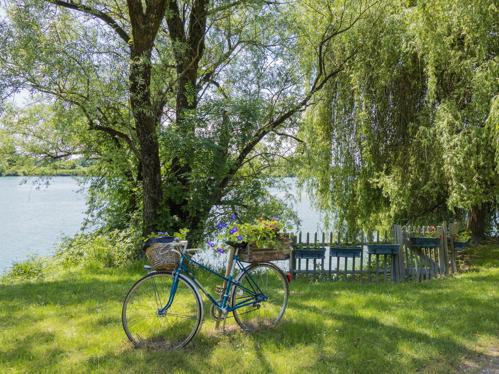 a blue bicycle parked next to a lake