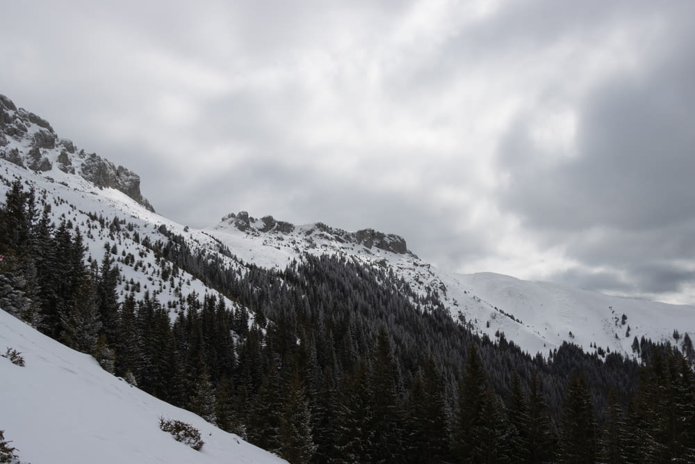 una montaña cubierta de nieve y árboles bajo un cielo nublado