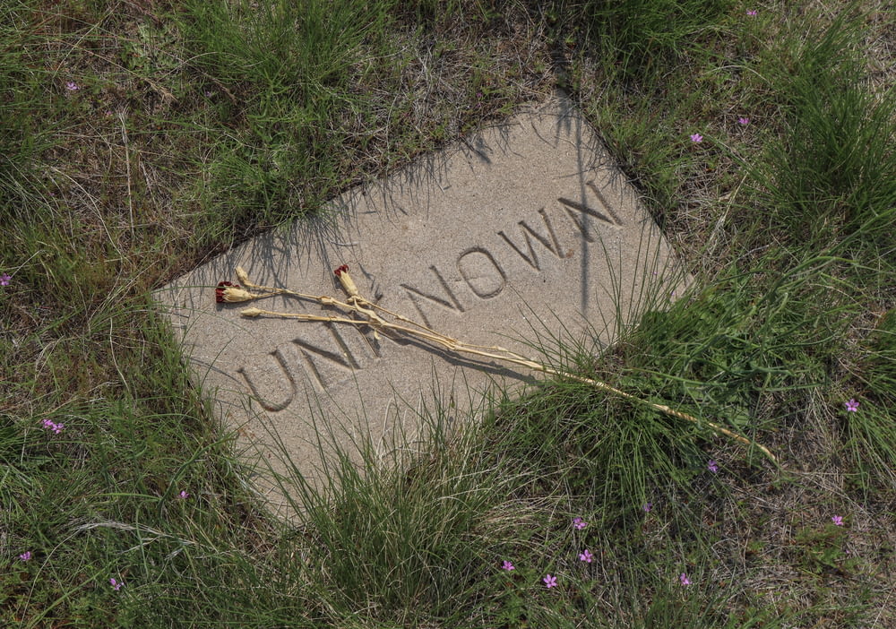 a grave in the grass with a twig laying on it