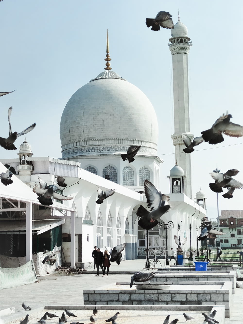 a flock of birds flying over a white building