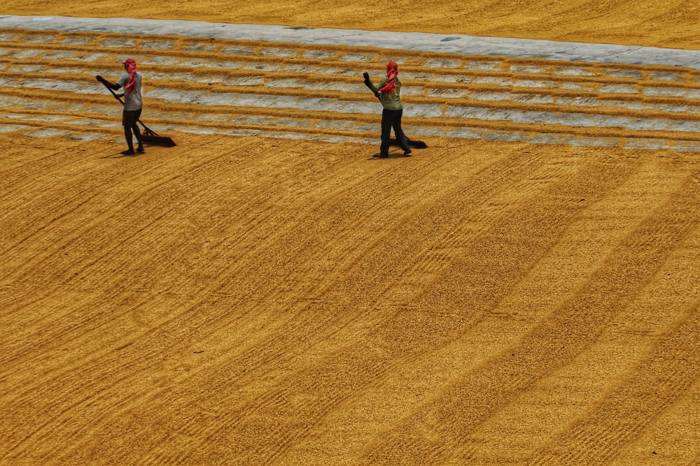 a couple of people standing on top of a dirt field