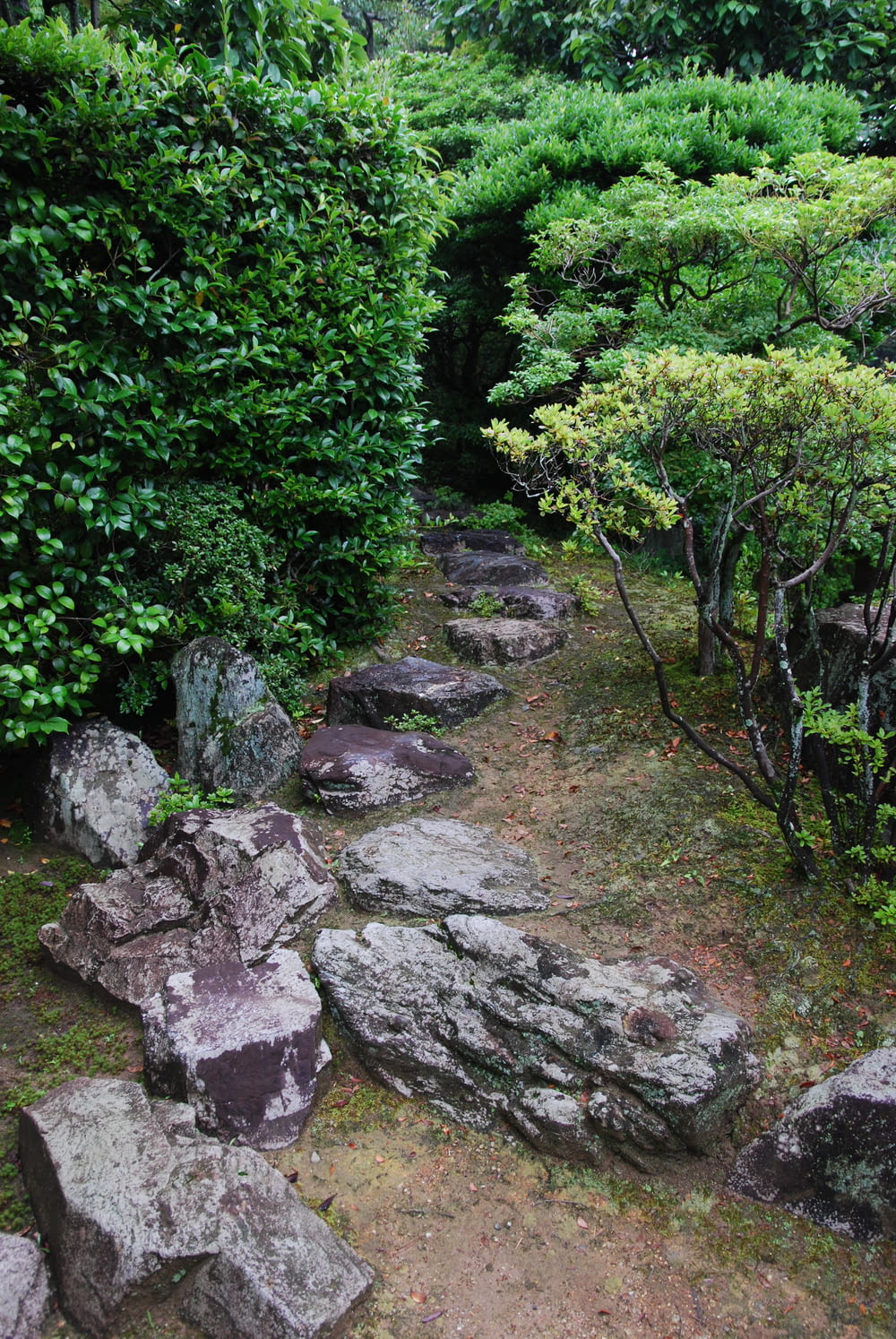 a stone path surrounded by trees and rocks