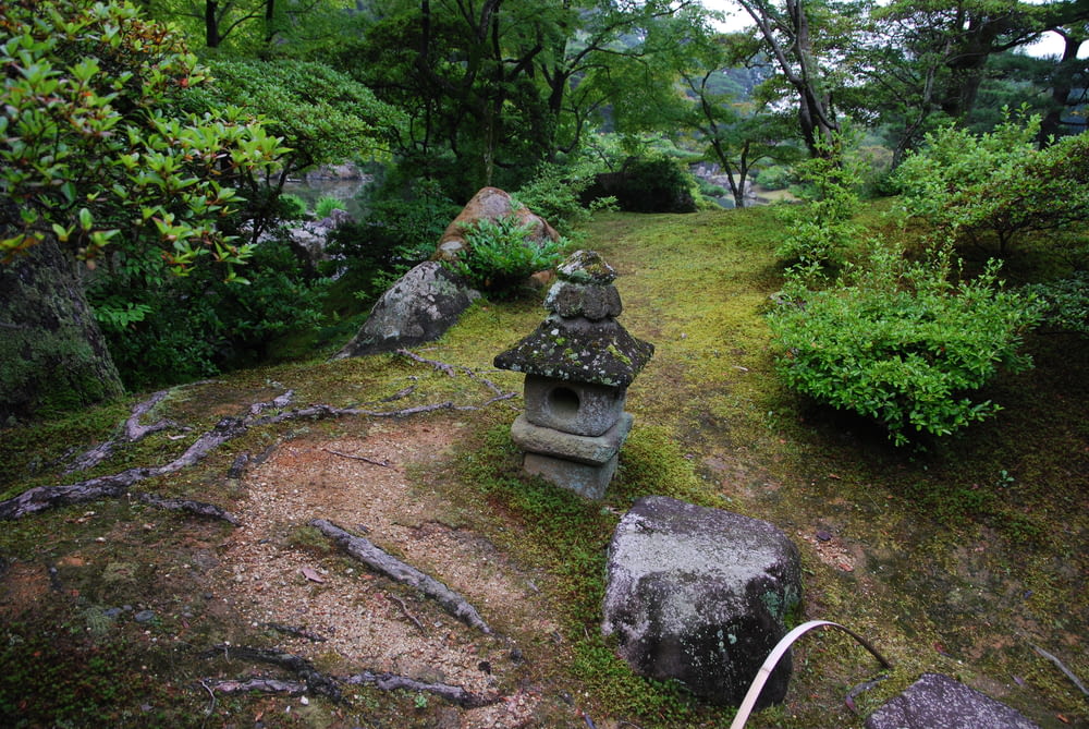 a rock garden with moss growing on the ground