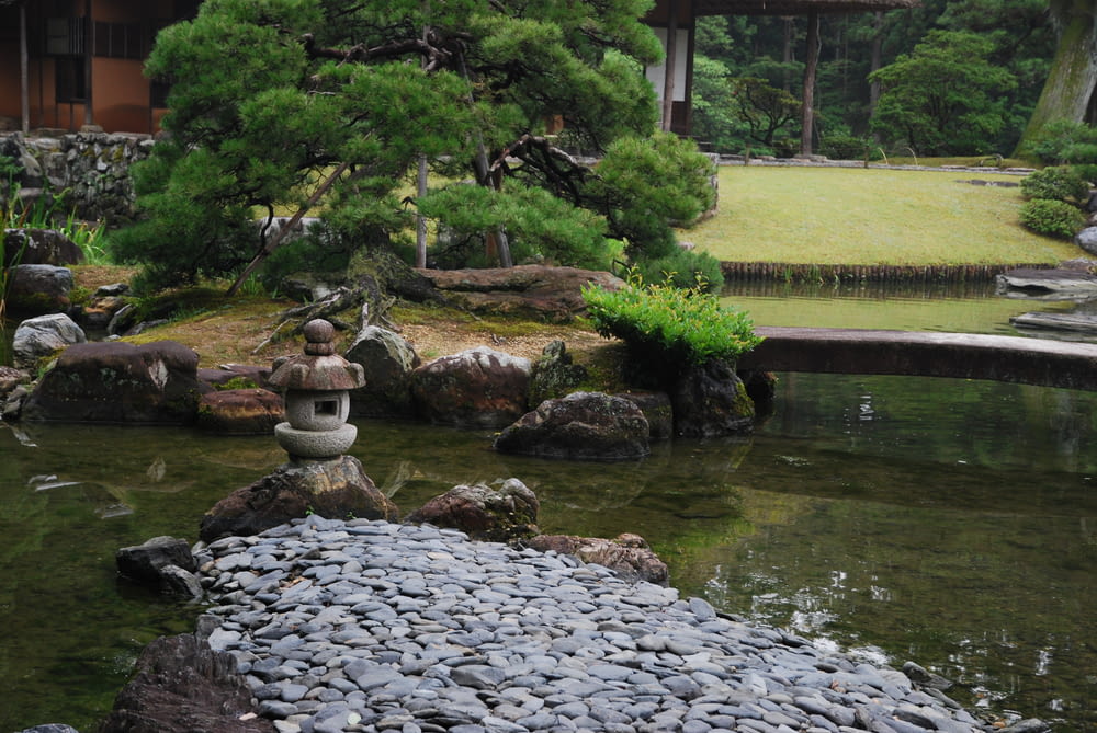 a garden with a pond and rocks and trees
