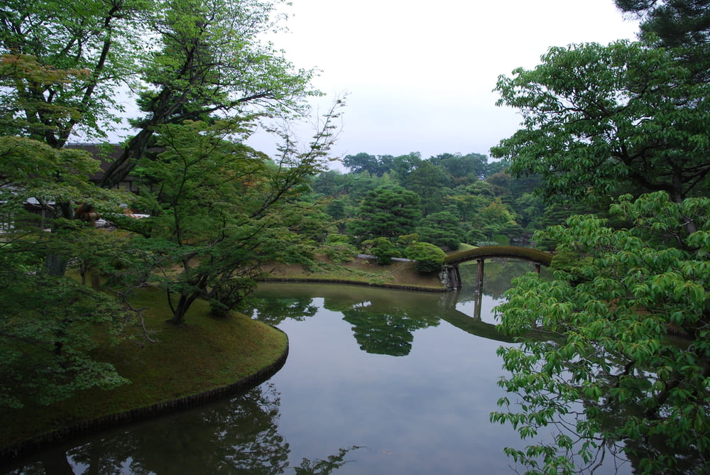 a pond surrounded by trees and a bridge