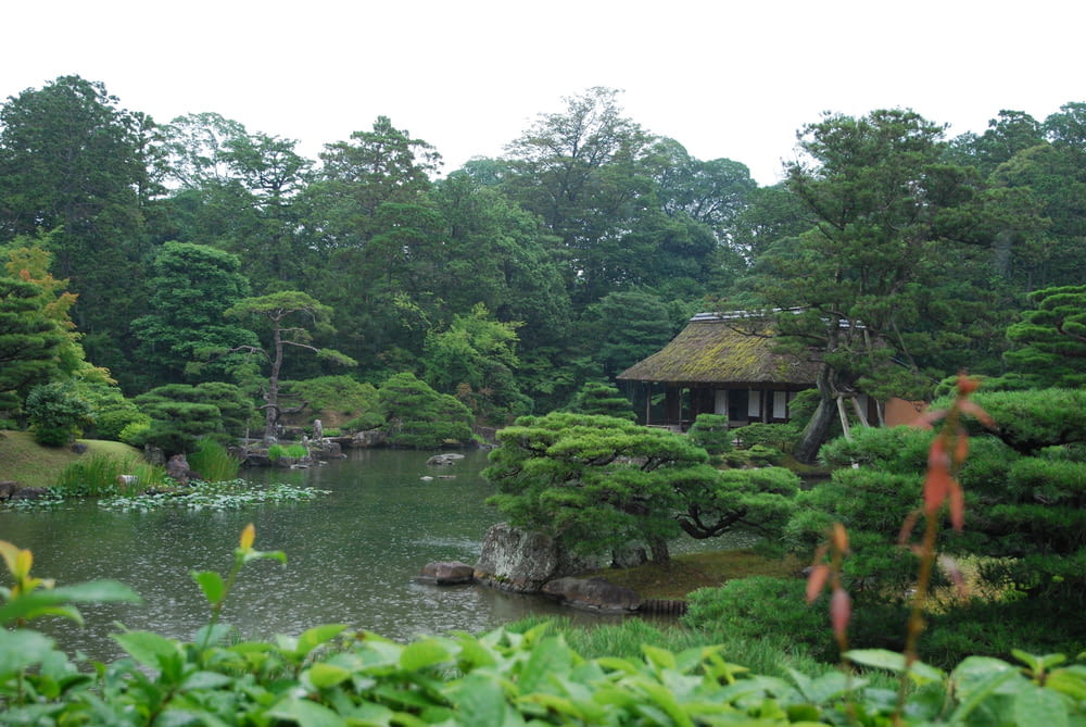 a pond surrounded by trees with a hut in the middle