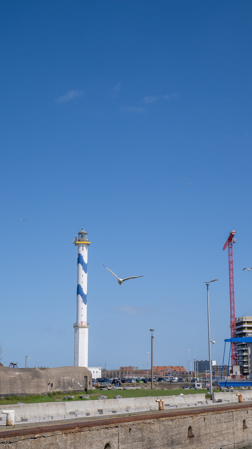a light house and a seagull flying in the sky