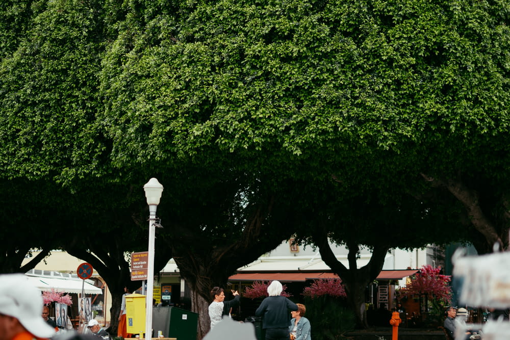 a group of people walking down a street next to trees