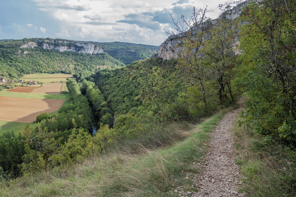 Un camino de tierra en medio de un exuberante valle verde