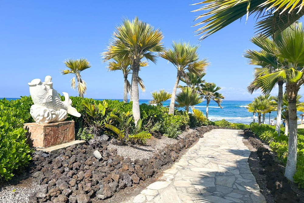 a pathway leading to a beach with palm trees