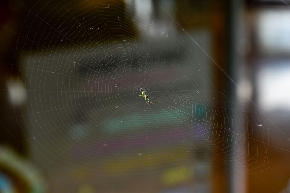 a close up of a spider web on a window