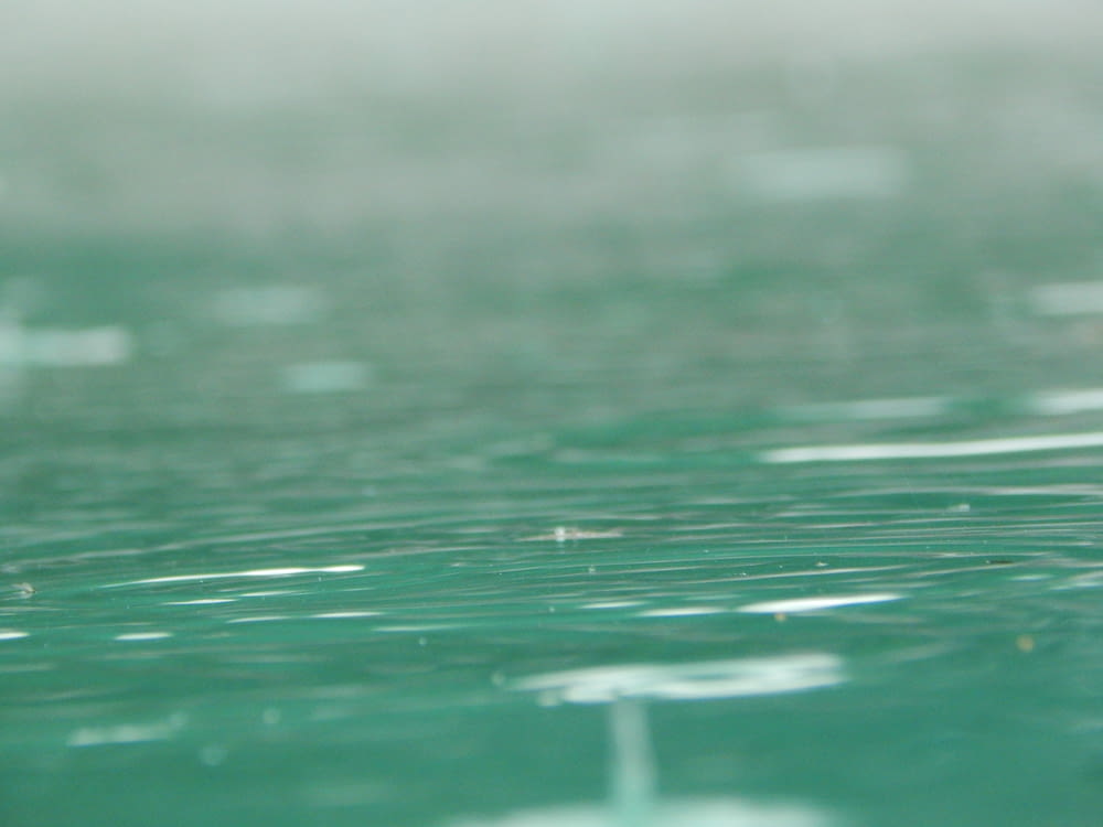 a blurry photo of a green surface with small drops of water