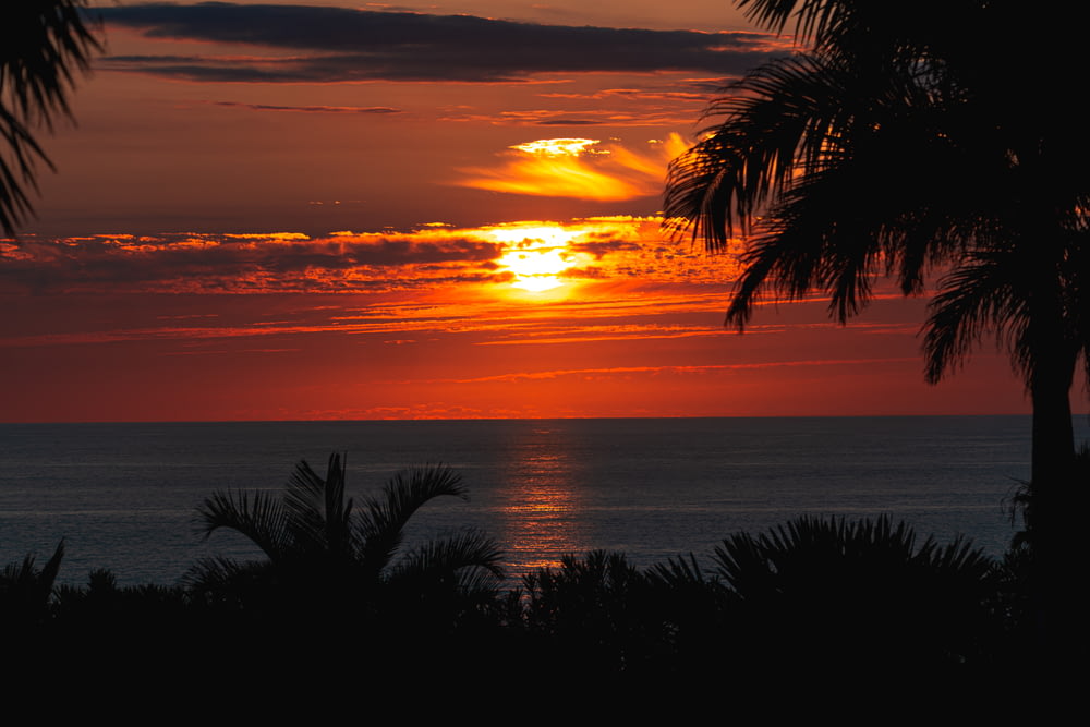 the sun is setting over the ocean with palm trees