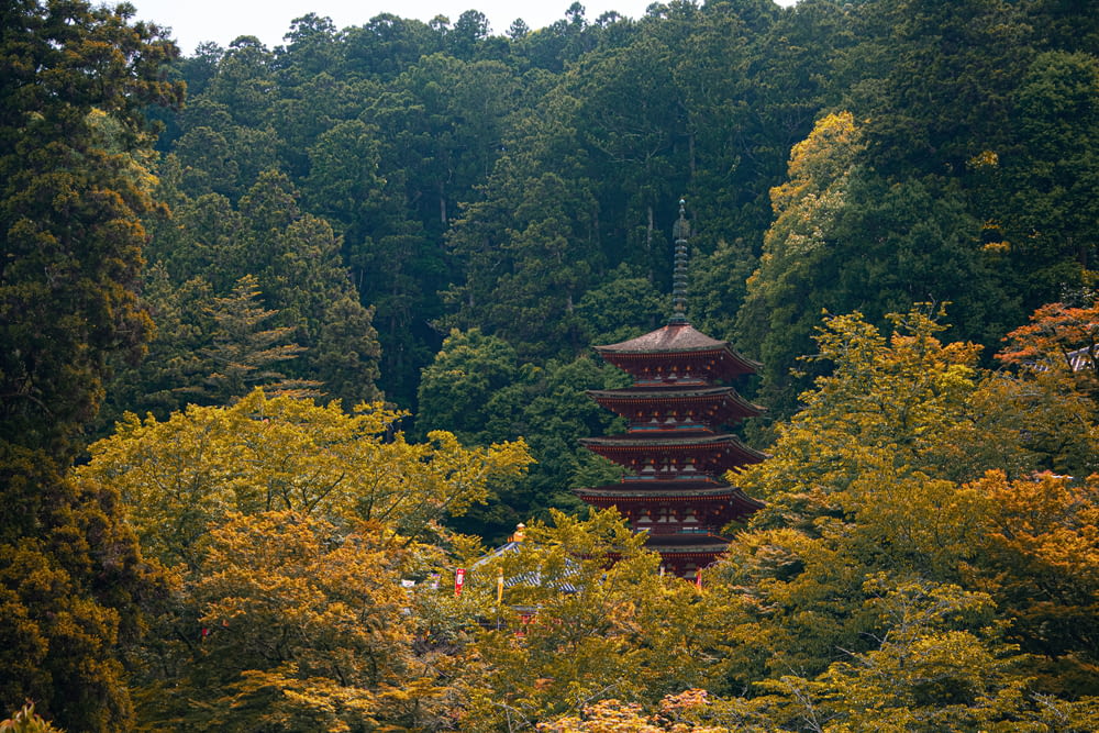 Una pagoda alta en medio de un bosque