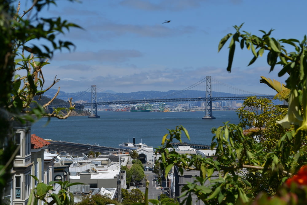 a view of the bay bridge from a distance