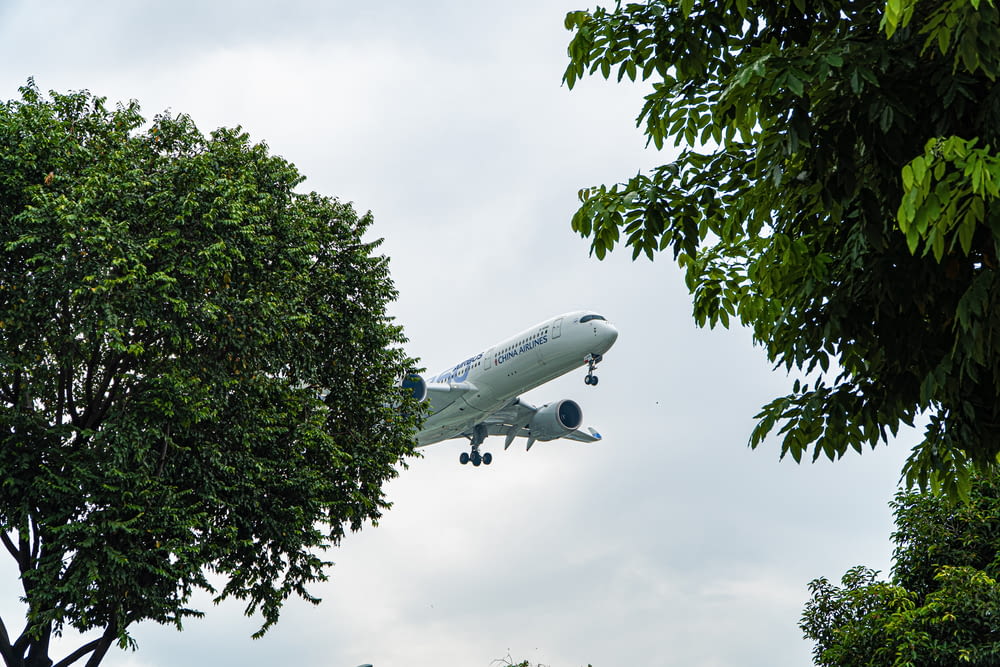 an airplane is flying low over the trees