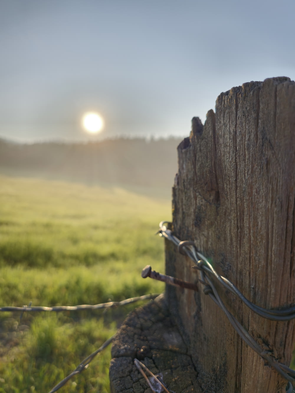 a fence post in a grassy field with the sun in the background