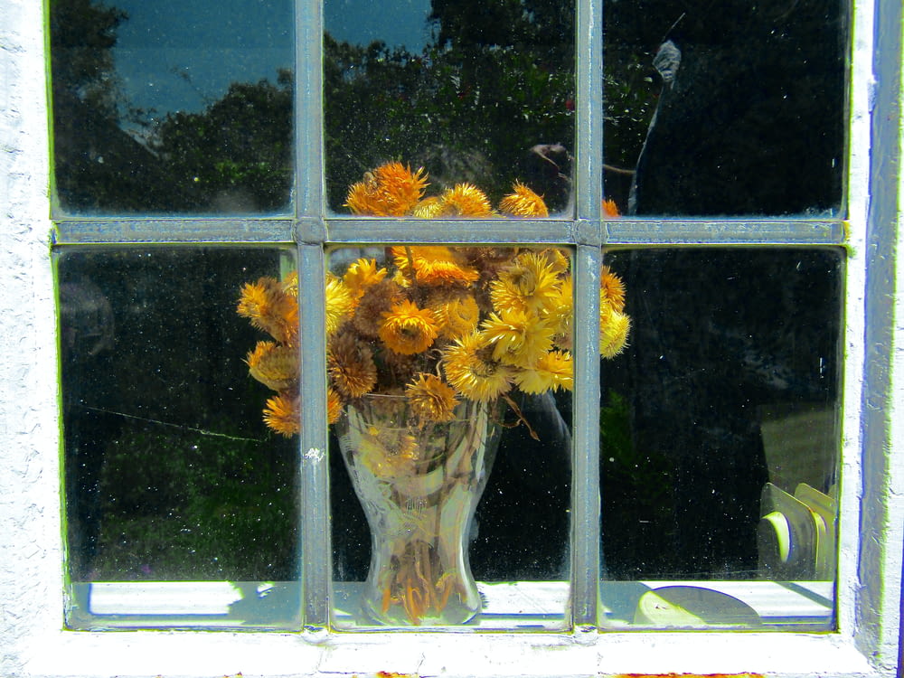 a vase filled with yellow flowers sitting in front of a window