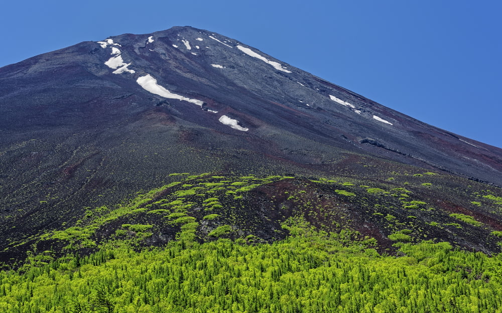 a very tall mountain covered in a lush green forest