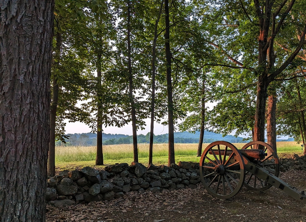 Un vieux chariot en bois assis au milieu d’une forêt
