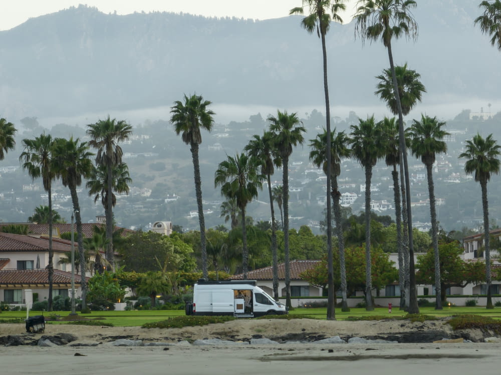 a truck is parked in front of a row of palm trees