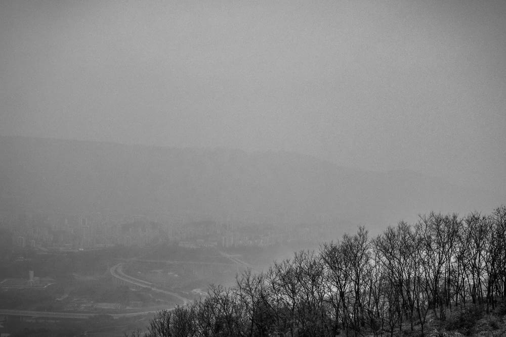 a black and white photo of a foggy day