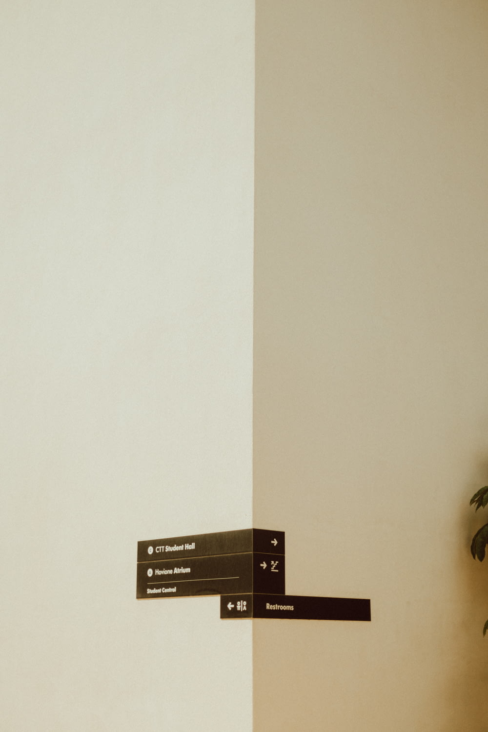 Un segno in bianco e nero su un muro accanto a una pianta in vaso