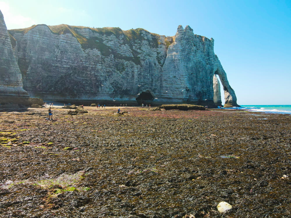 a rocky beach with a large rock formation in the background