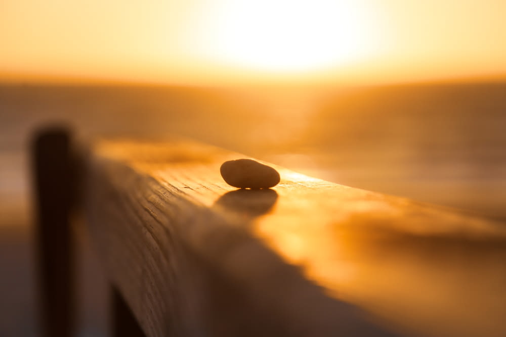 a rock sitting on top of a wooden bench