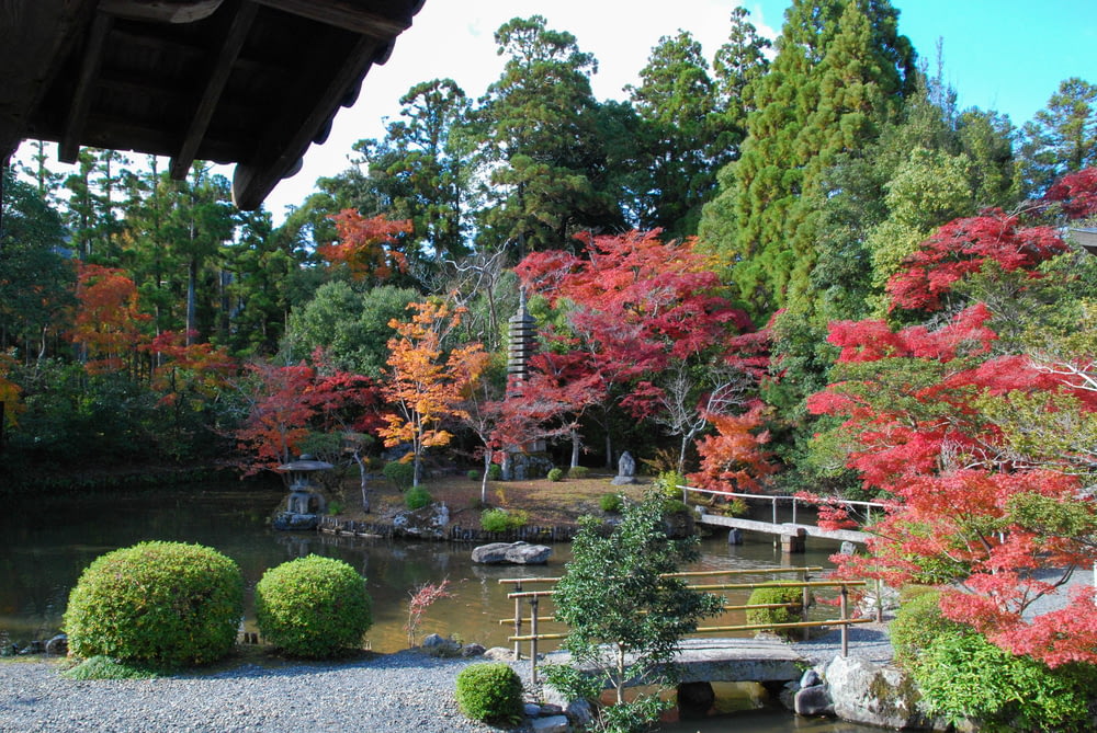 a small pond surrounded by trees with red leaves