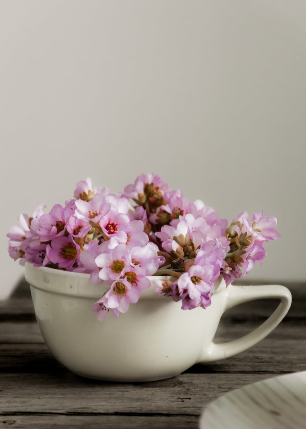 a white cup filled with pink flowers on top of a wooden table