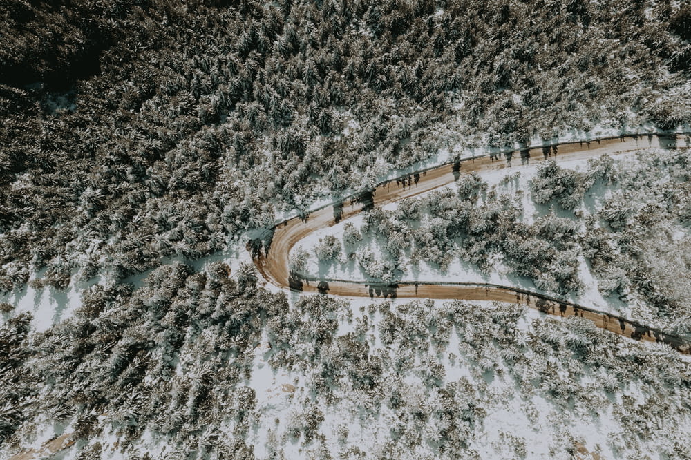 a winding road in the middle of a snow covered forest