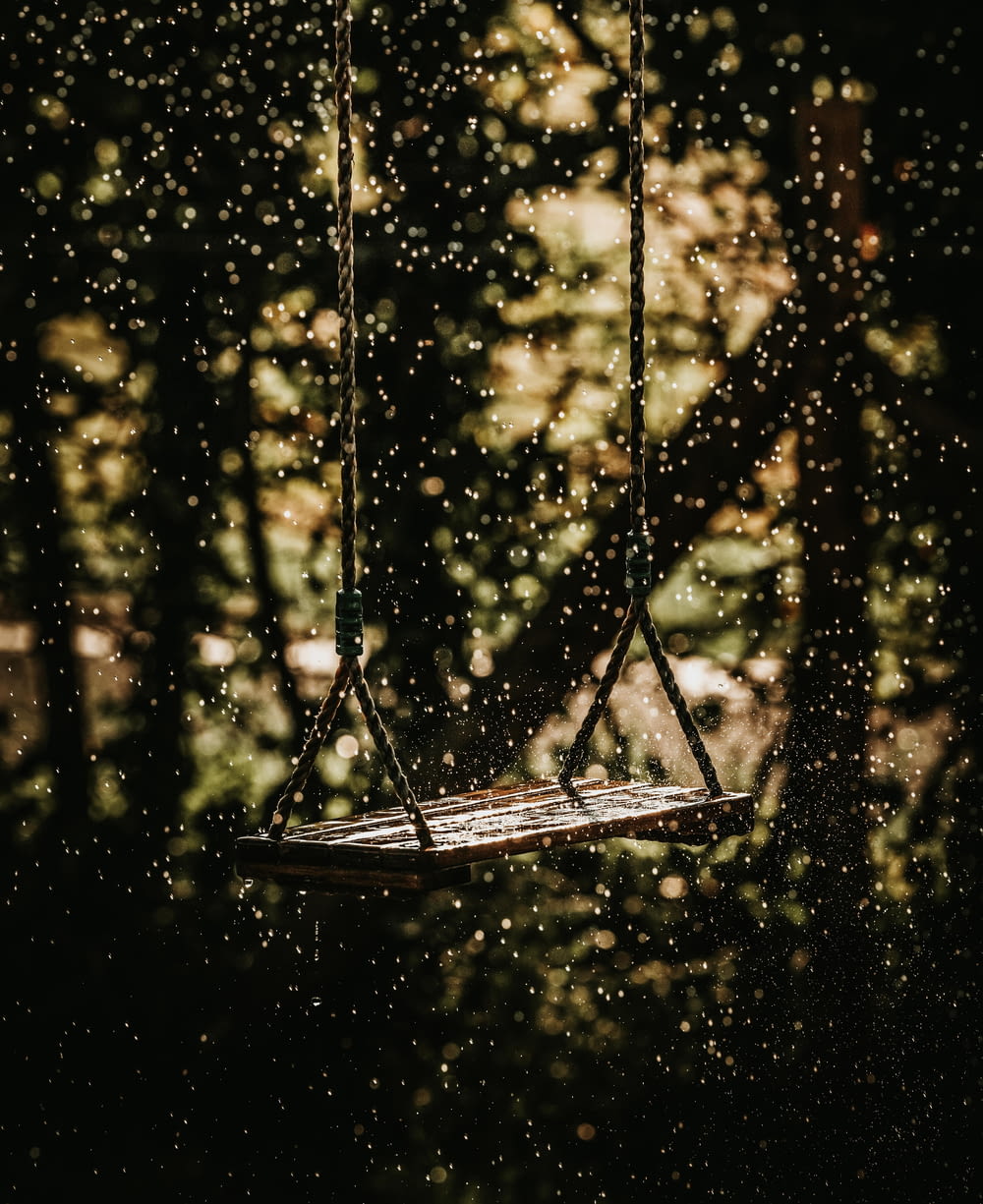 a swing hanging from a tree in the rain