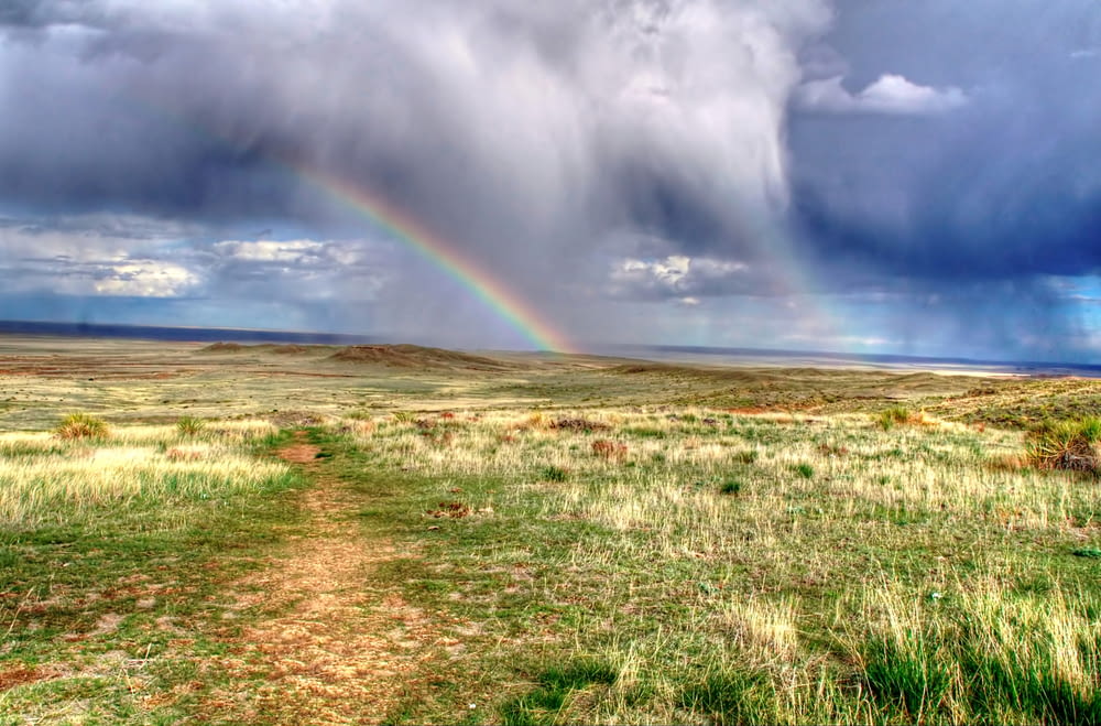 a rainbow in the sky over a grassy field