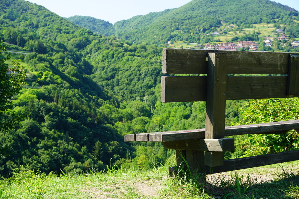 a wooden bench sitting on top of a lush green hillside