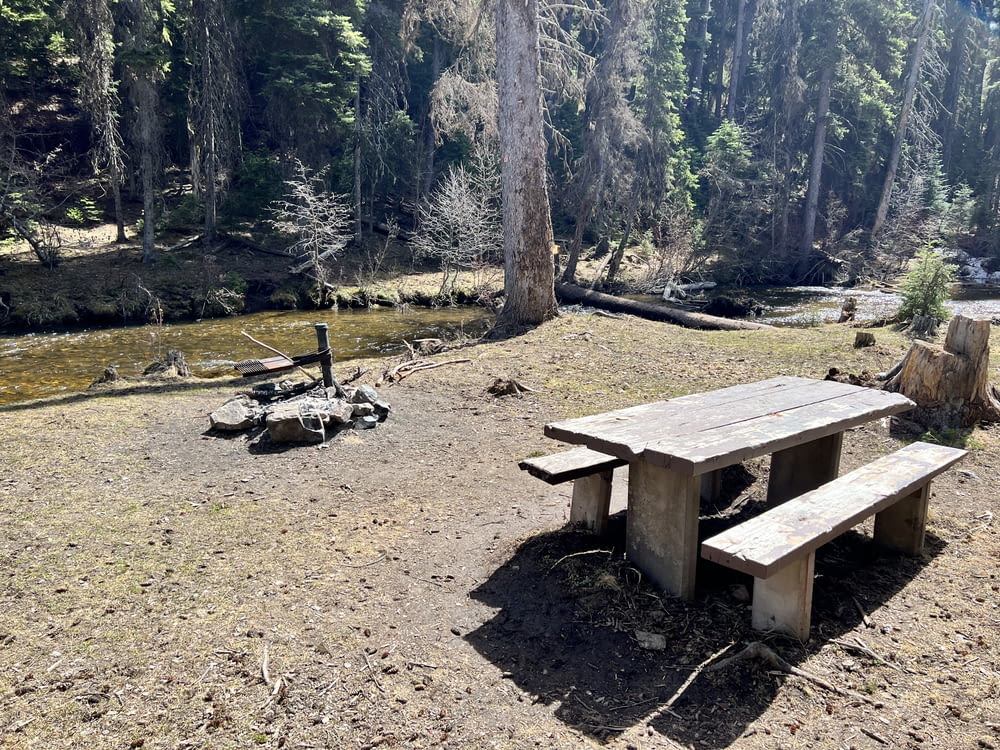 a picnic table in the middle of a forest