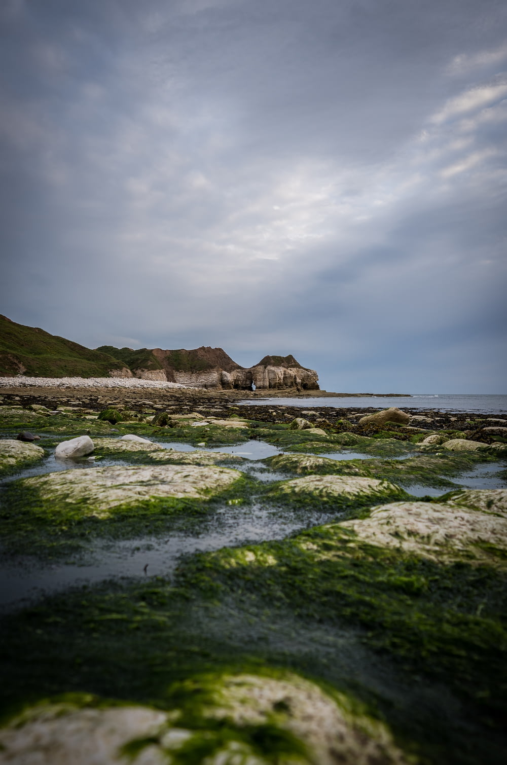a rocky beach covered in green algae under a cloudy sky
