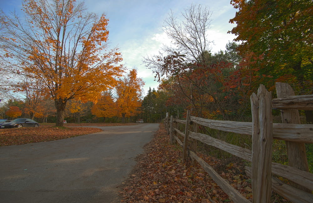 a road with a wooden fence in the fall