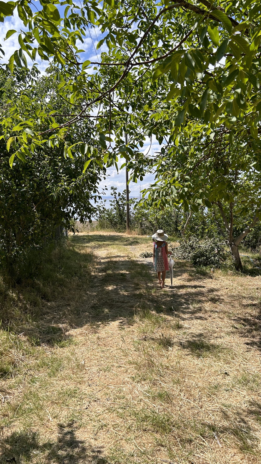 a woman walking through a forest with an umbrella