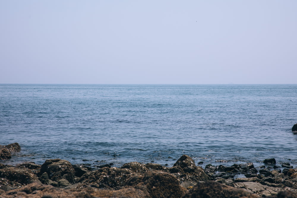 a large body of water sitting next to a rocky shore