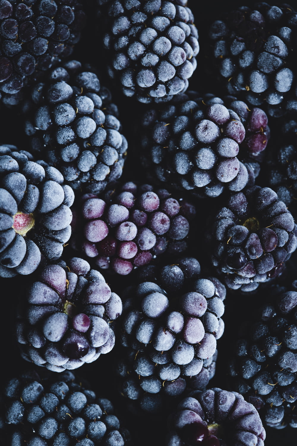 a close up of a bunch of blackberries